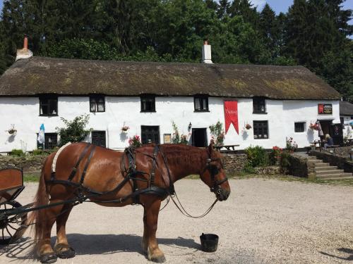 The Cridford Inn - Tap to explore photos