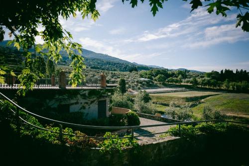 Fattoria Degli Usignoli - image 4