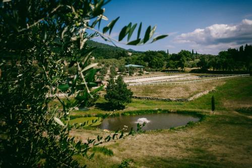Fattoria Degli Usignoli - image 2