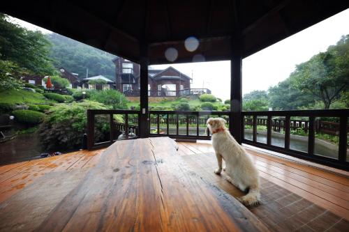시실리 펜션 (Sisilli Pension) in 진부면