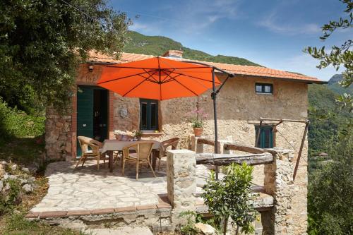 Casa Berti - Urlaub im Olivenhain, Camaiore