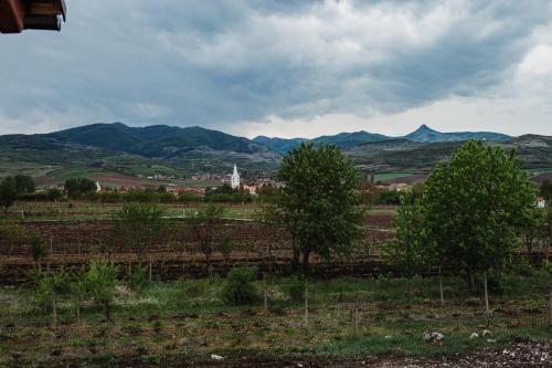 Pensiunea Casa Negrea