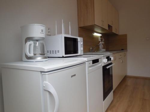 Apartman Kamenice in Kamenice Nad Lipou