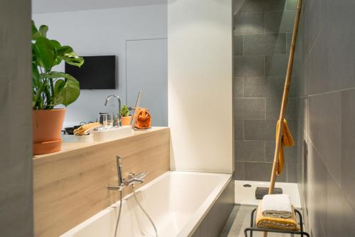 Marcel de Gand Business & Travel photo 4