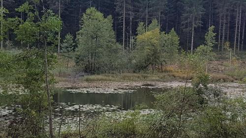 Gite La Censière (Gite La Censiere) in ดิโวน เล บาน