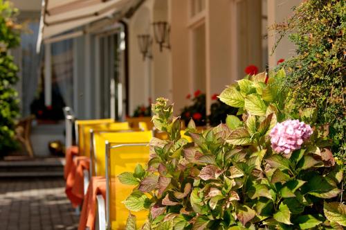 Hotel Beausite - image 12