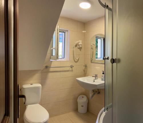 Pensiunea Turistică Tihuța Pensiunea Turistică Tihuța