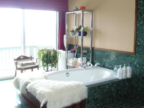 卡普陶普住宿加早餐旅館 (Coppertoppe Inn & Retreat Center) in 喜邦 (NH)