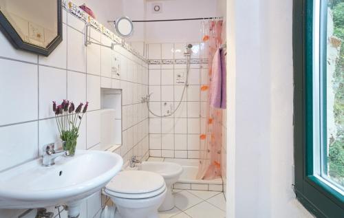 Casa Berti - Urlaub im Olivenhain, Camaiore (zdjęcie 6)