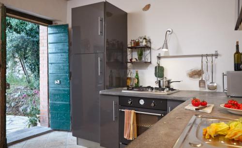 Casa Berti - Urlaub im Olivenhain, Camaiore (zdjęcie 8)