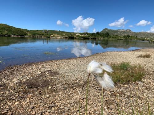Les Ameythistes - image 7