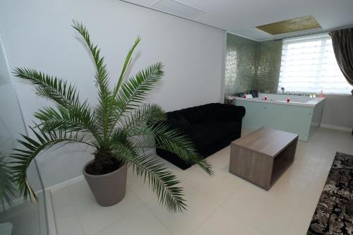 MELISS EVENTS - image 5