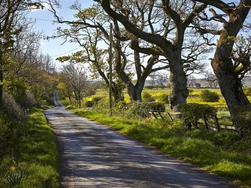 Lily Hill Farm