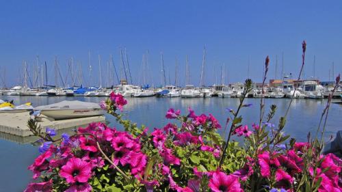 Hotel De La Mer Hotel de charme Port Leucate