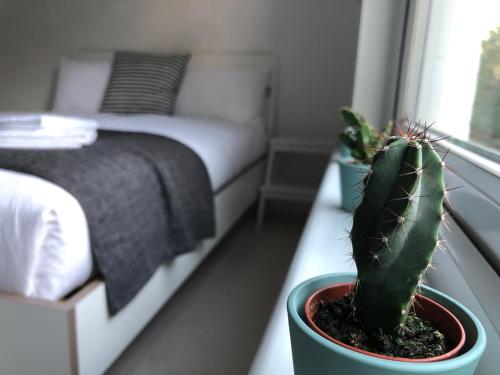 Marble Apartments Balham Studio, Tooting, London