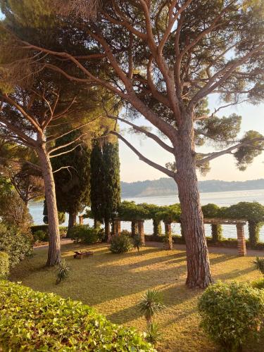 Vila Tartini – Strunjan, MO