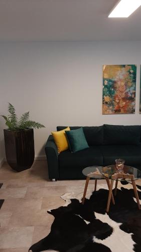 Moderne Altstadt-Ferienwohnung in Hammelburg