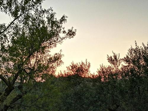 B&B Villa Milena - main image