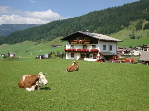 Haus Annemarie Apartments Kartitsch - Hochpustertal