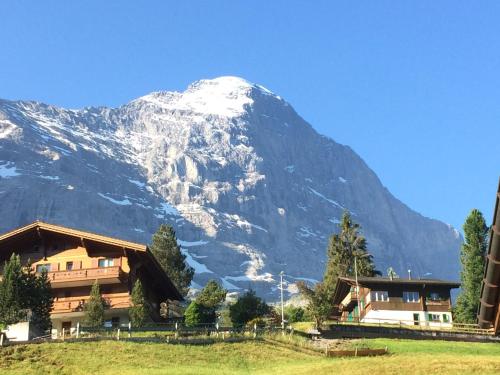 Mönch Amazing Apartment Grindelwald