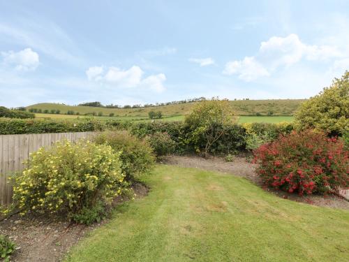 Downs View - image 5