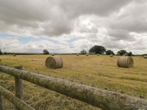 Downs View - image 8