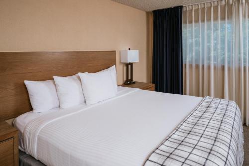 ماموث ماونتين إن ماموث ماونتين إن