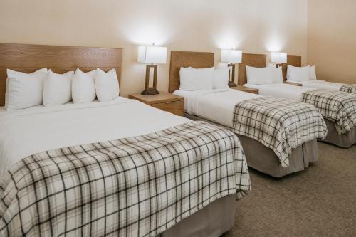 ماموث ماونتين إن ماموث ماونتين إن