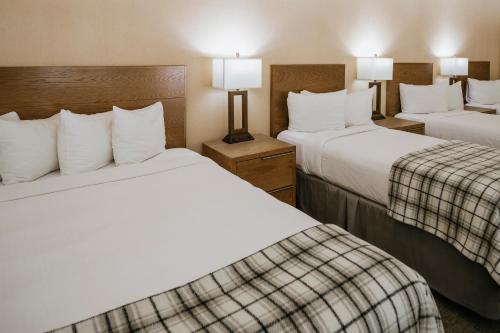 ماموث ماونتين إن ماموث ماونتين إن