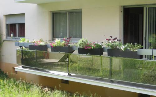 Mes Oasis Nancy - image 11