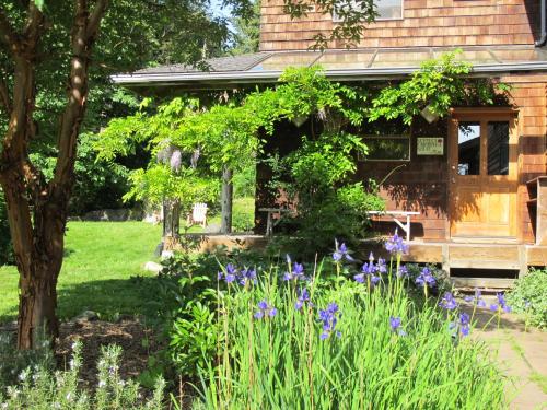 Nettles Farm - Accommodation - Lummi Island