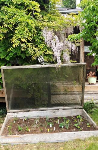 네틀스 팜 - 식음료(F&B)