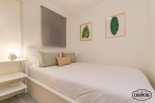 SANTA ISABEL - 1-Bedroom Apartment, Madrid (fotografie 2)