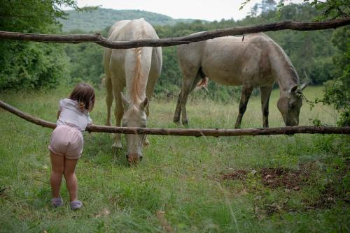 Tmbin's barn - nature, horses, family