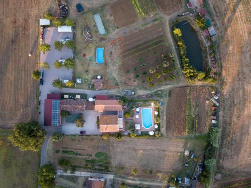 Agriturismo Consalvi Valentina