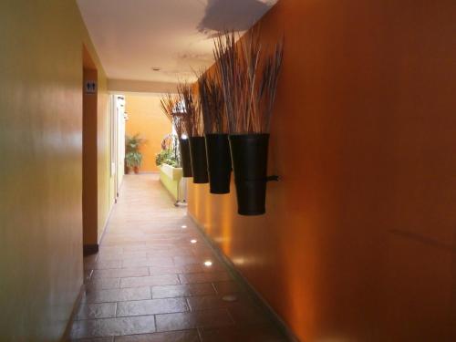 บริการและสิ่งอำนวยความสะดวก, โรงแรมอันเบร์ (Hotel Anber) in โดโลเรส อิดัลโก