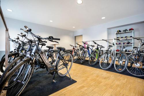 JUFA Hotel Waldviertel - image 10