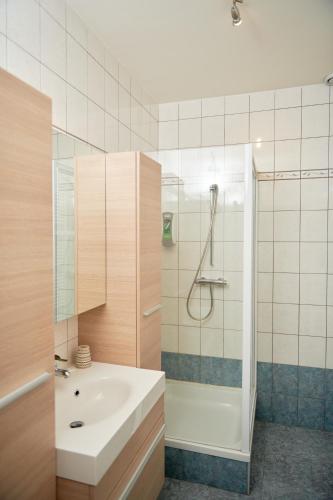 De Statie - image 6