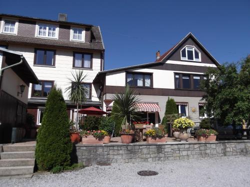 Pension Waldhof in Trautenstein, Deutschland