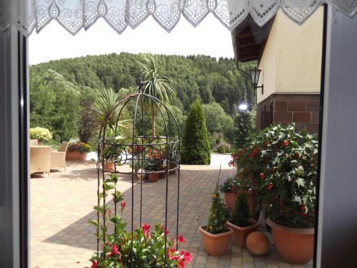 Pension Waldhof - image 10