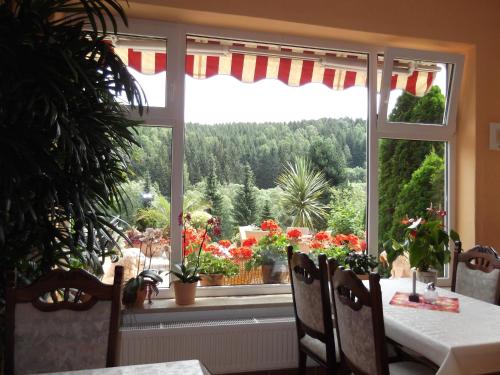 Pension Waldhof - main image