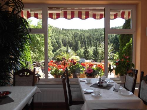 Pension Waldhof - image 3