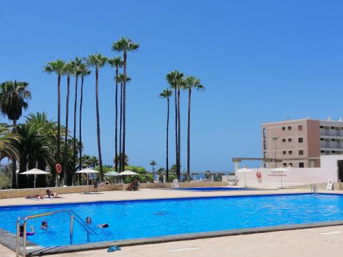 1 bedroom playa de la Americas