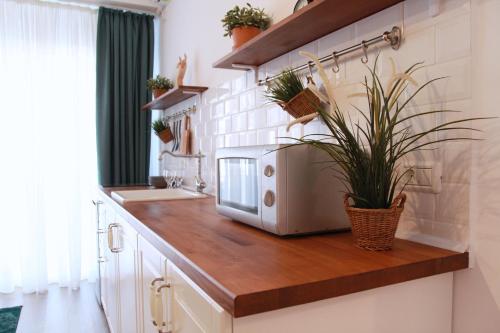 Bohemian Central Flat - image 2