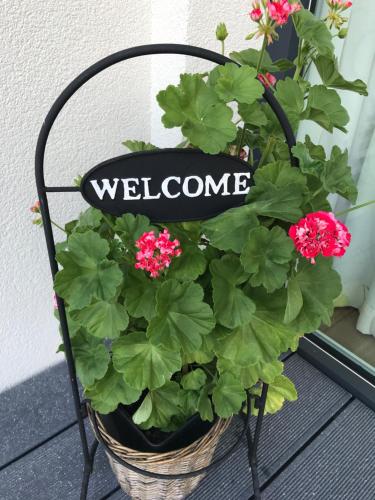 Ambiente, Flachau (zdjęcie 5)