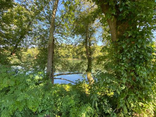 Riverfront Lodge in Burkesville, USA
