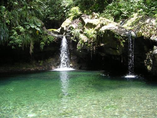 Domaine fleurs de bananes - Location saisonnière - Capesterre-Belle-Eau