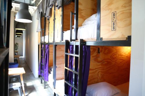 Bunk Bed in Mixed Dormitory Room image 4