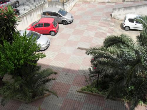  Agave in Reggio Calabria