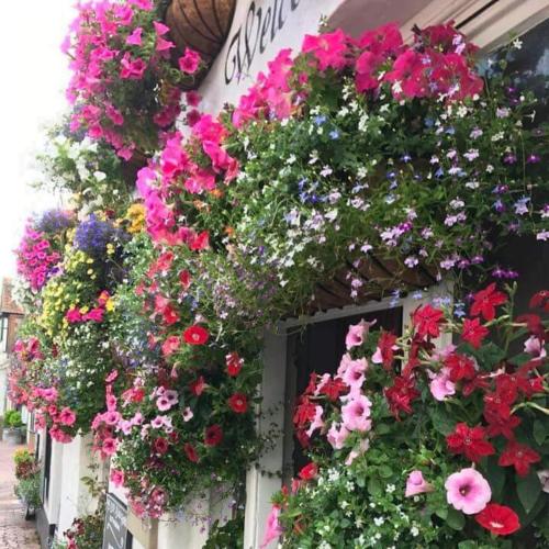 Ye Olde Black Horse gîte à louer Rottingdean
